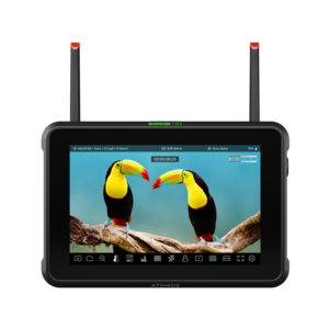 Atomos Shinobi 7 RX 7-inch HDMI & SDI Monitor
